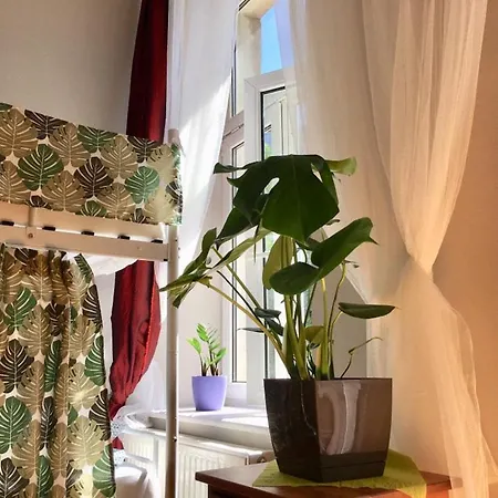 House ホステル *